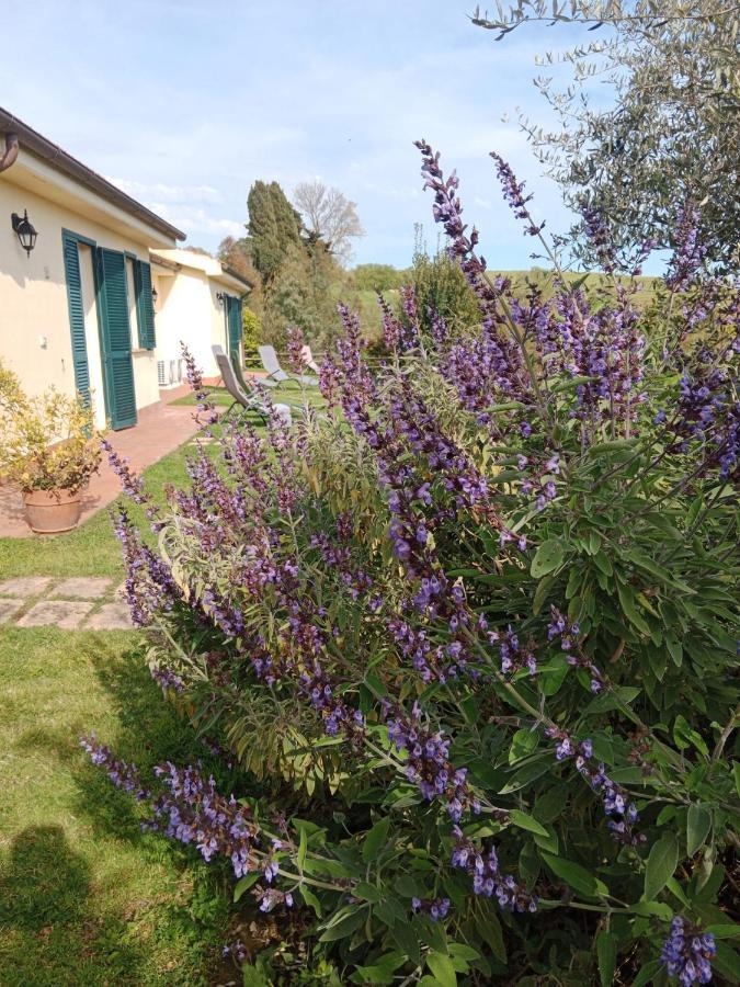 Agriturismo Le Colline Di Capalbio Exteriér fotografie