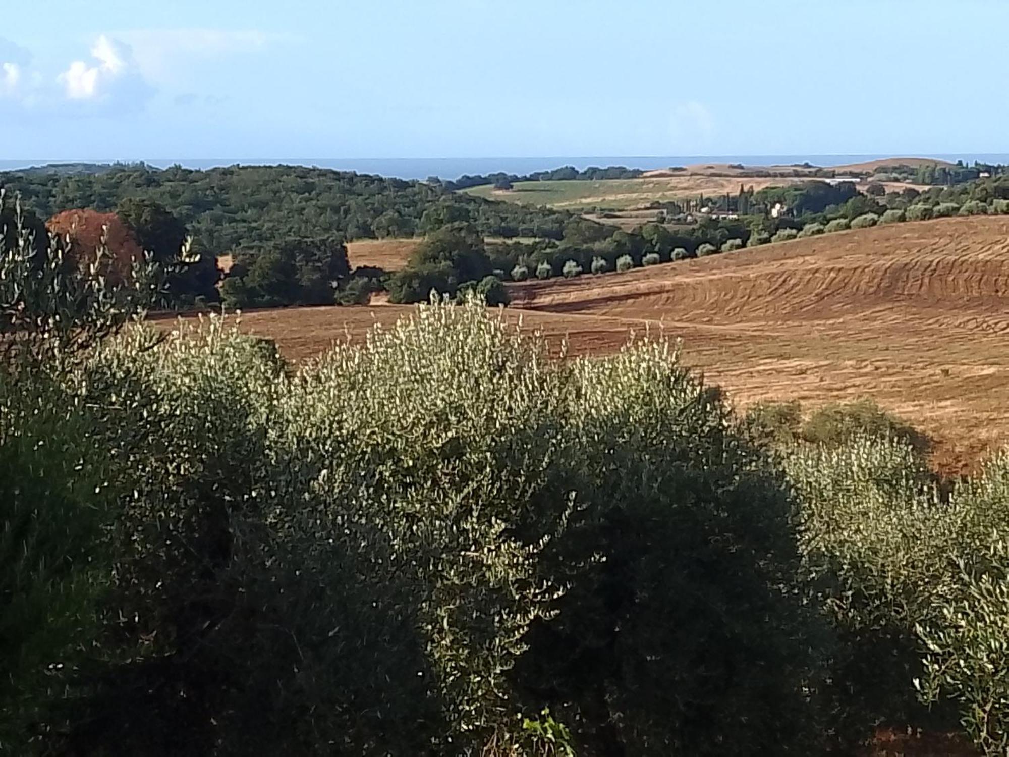 Agriturismo Le Colline Di Capalbio Exteriér fotografie