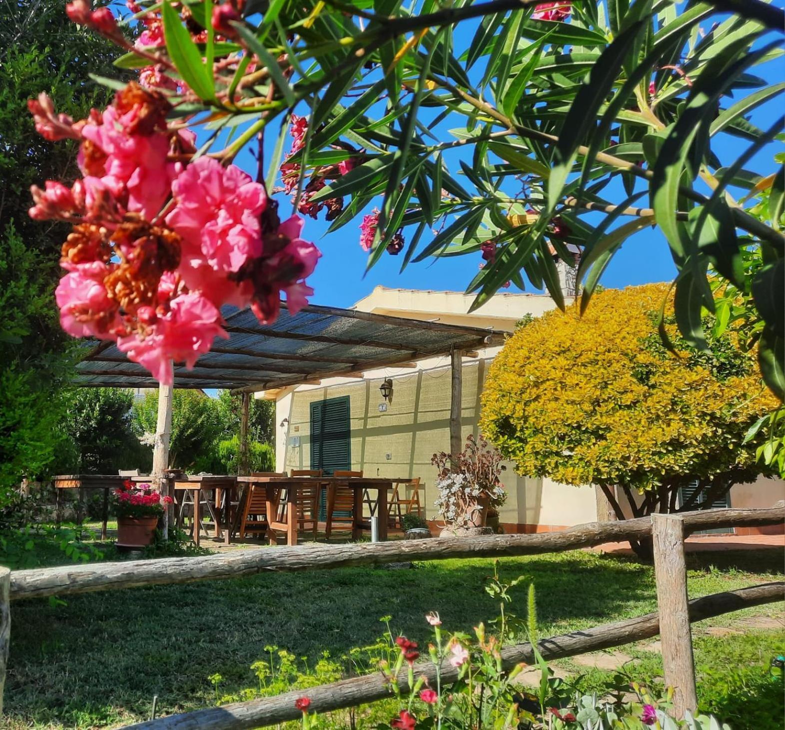 Agriturismo Le Colline Di Capalbio Exteriér fotografie