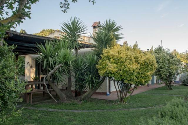 Agriturismo Le Colline Di Capalbio Exteriér fotografie