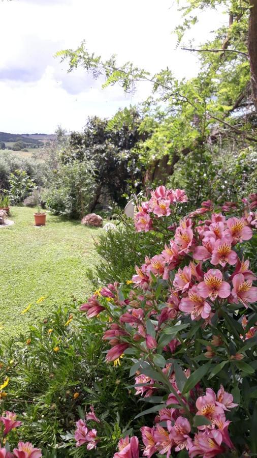 Agriturismo Le Colline Di Capalbio Exteriér fotografie